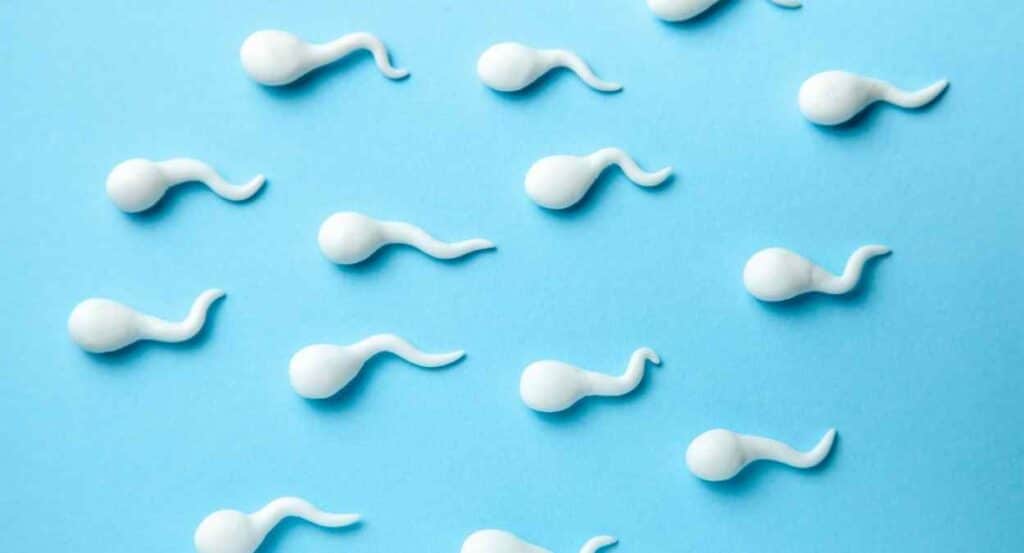 sperm motility, ultrasound waves, fertility treatment, IVF, sperm speed,