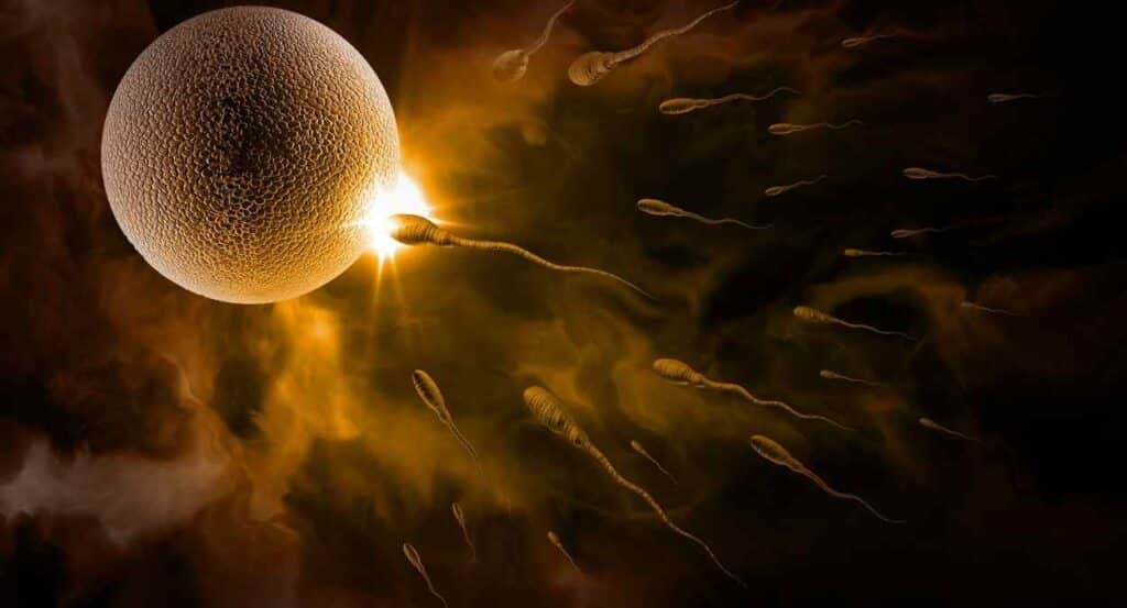 sperm motility, ultrasound waves, fertility treatment, IVF, sperm speed,