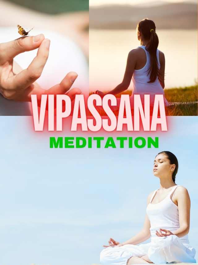 Experience a Total Mind Reset with Vipassana!