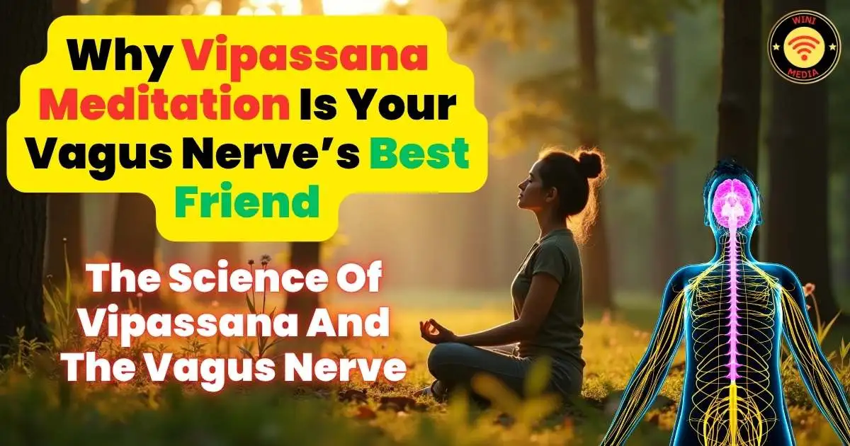 Vipassana and the Vagus Nerve